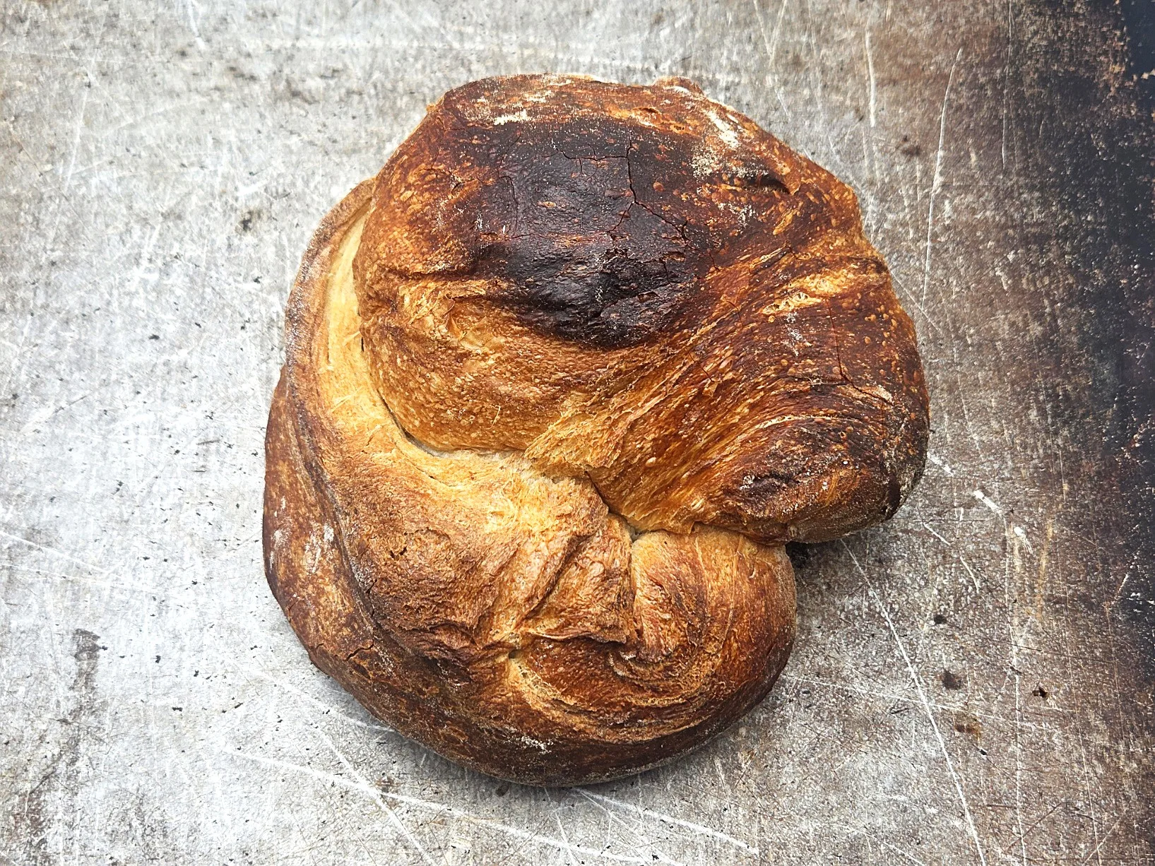 Halbweiss 500 gr. St. Galler – Bild 1