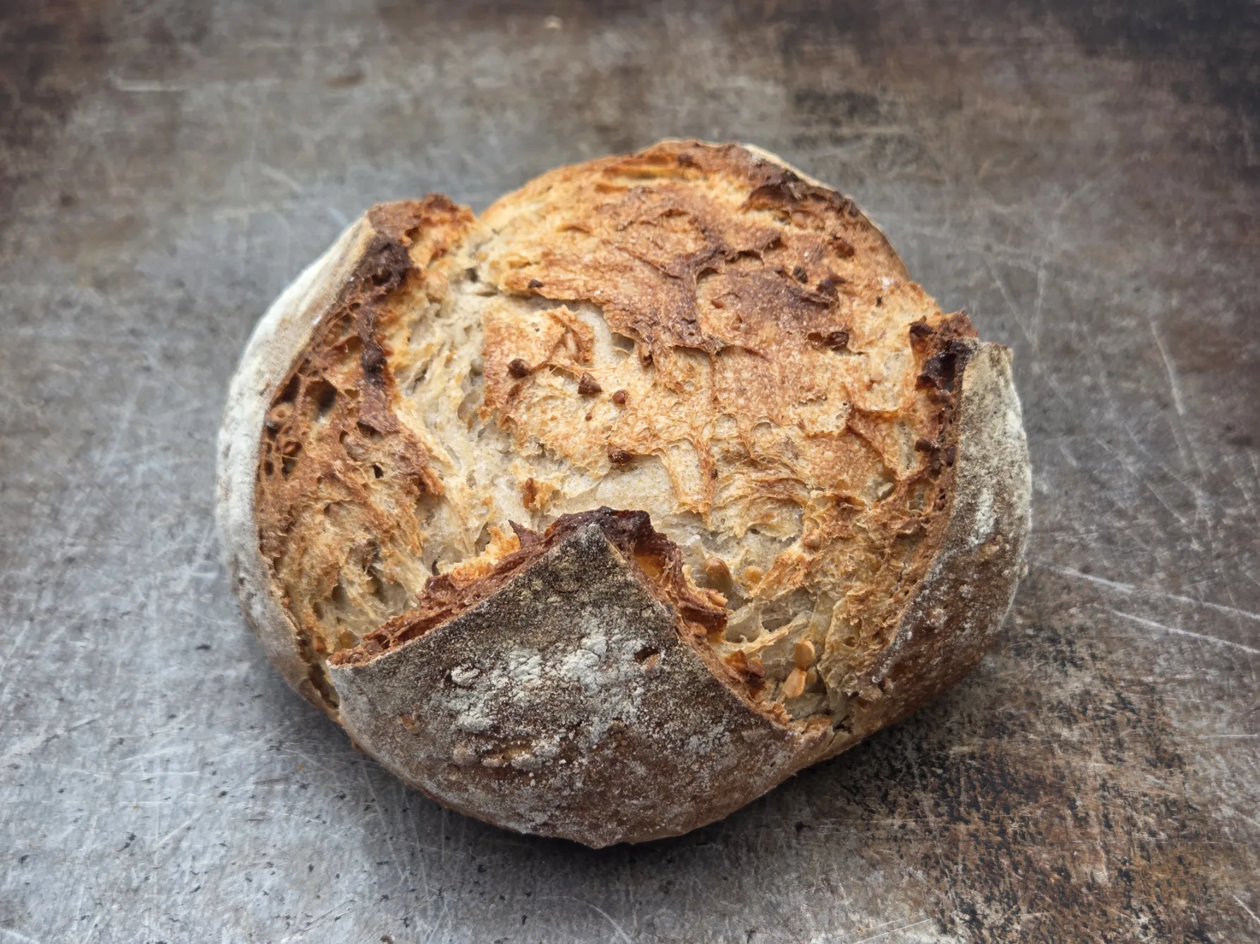 Sonnenbrot – Bild 1