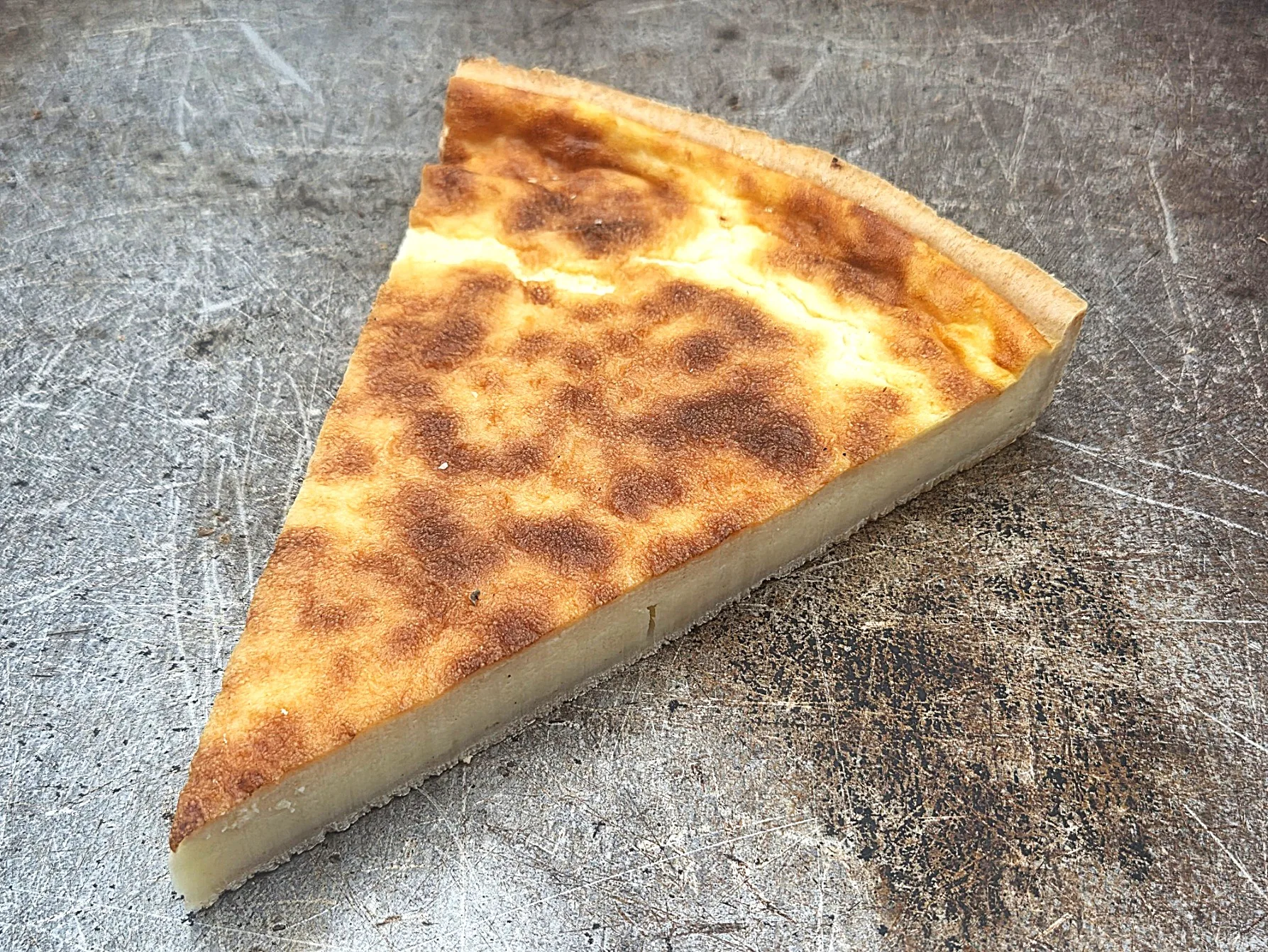 Käsewähe Stk. – Bild 1