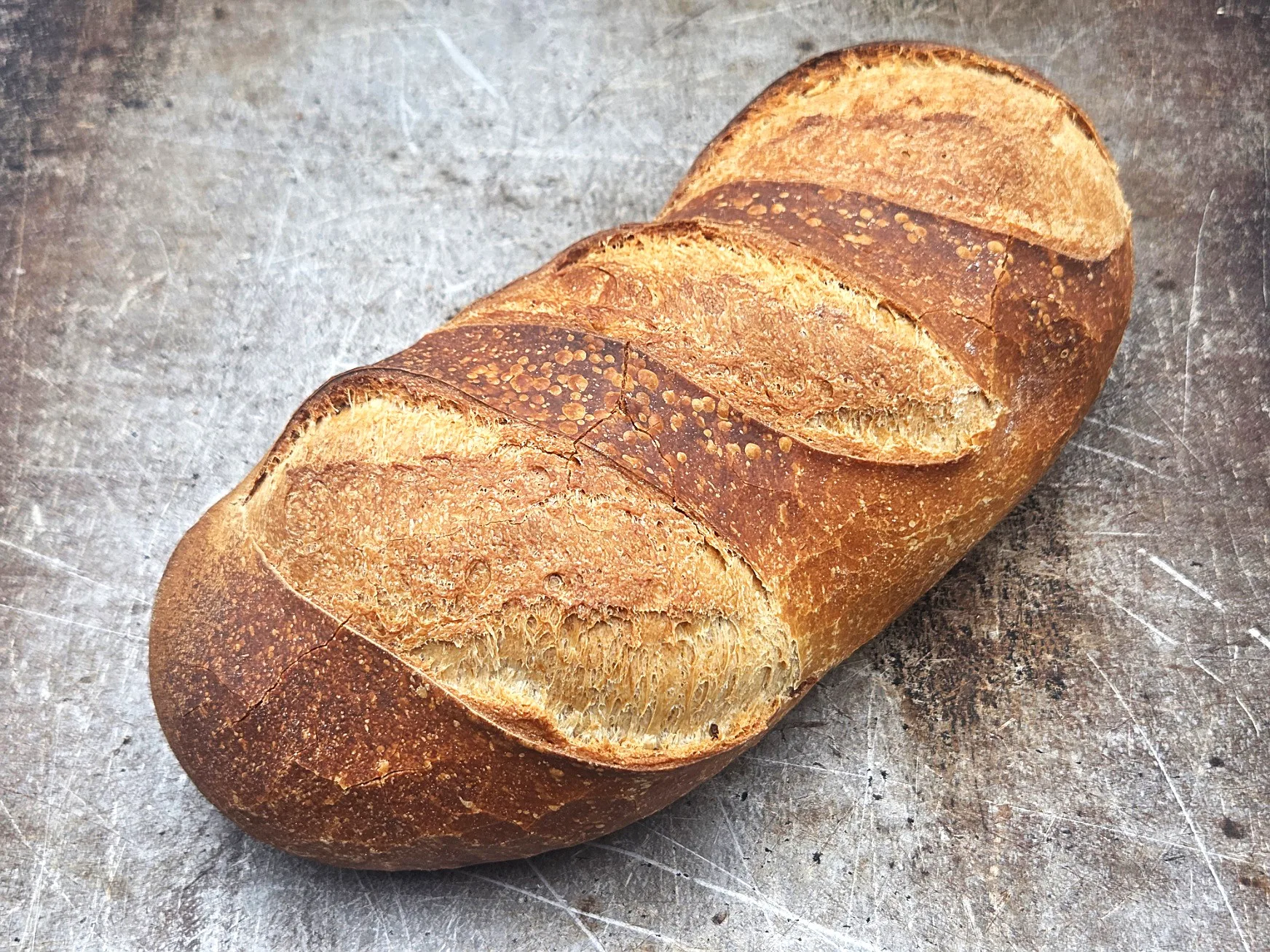 Halbweiss 500 gr. lang – Bild 1